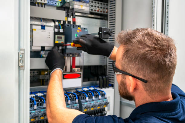 Best Licensed Electrician  in The Homesteads, TX