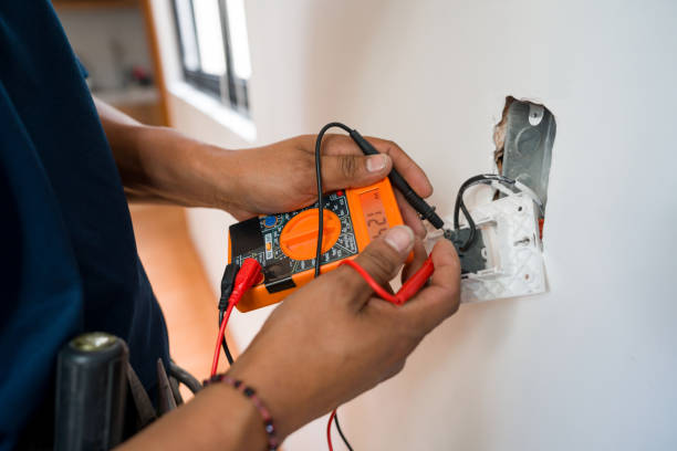 Best Licensed Electrician  in The Homesteads, TX