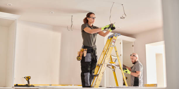 Best Electrician for Home Renovation  in The Homesteads, TX