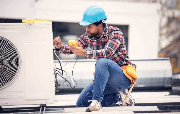 Best Electric Panel Repair  in The Homesteads, TX