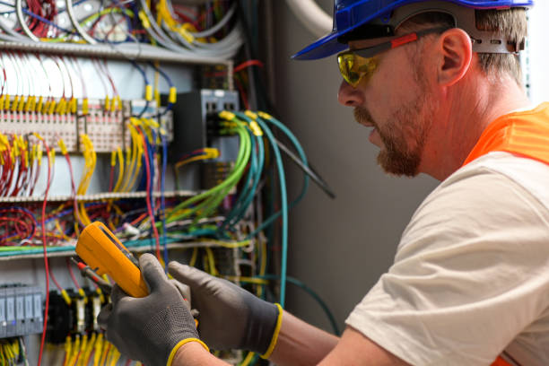 Best Affordable Electrician  in The Homesteads, TX